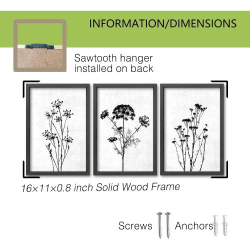 TQianJiang Flower Plant Wall Decor 16x11 Black And White Set of 3 | Botanical Painting, Wood Framed, Bedroom Office, Abstract Wildflower Sign Hanging Art