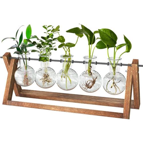 CFMOUR Plant Terrarium with Wooden Stand, Desktop Propagation Stations Glass Air Planter Metal Swivel Holder for Indoor Live Hydroponics Plants Office Home Garden Decor (5 Bulb Vase)