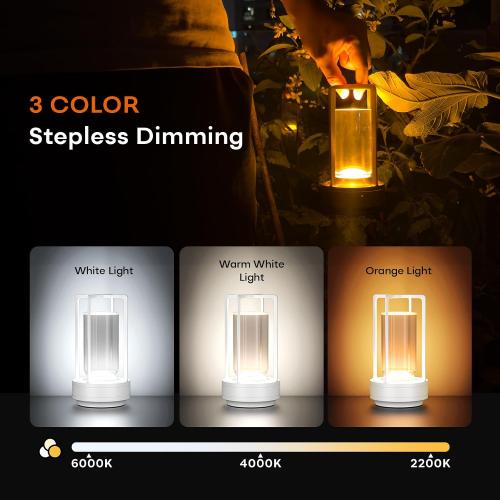 Rechargeable Cordless Small Metal Table Lamp, Stepless Dimming, 3-Color CAME JUST ONE !
