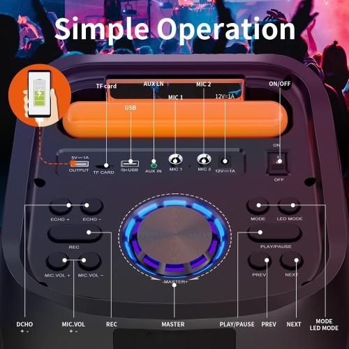 JYX Karaoke Machine with 2 Wireless Microphones, 24 Big Portable Bluetooth Speaker for Adults with RGB Light PA System Treble & Bass, Support TWS/USB/AUX/TF Card/REC, for Home Party Outdoors