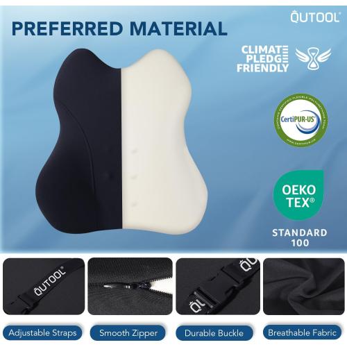 QUTOOL Lumbar Support Pillow for Car, Truck Accessories Travel Essentials, Memory Foam Back Cushion for Driving Seat, Back Pain Relief,Washable Cover, Lower Back Support Fits Most Cars(Black)