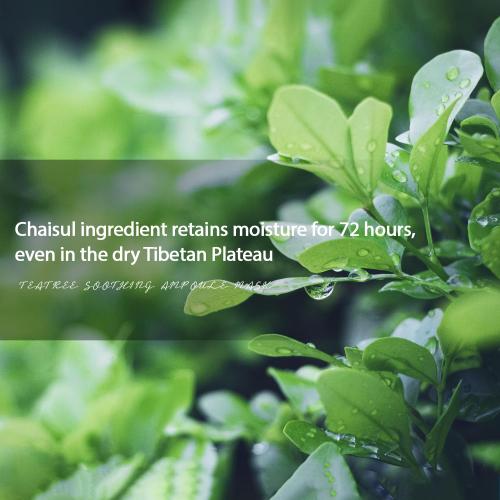 WELLDLERMA Chaisul Tea EXT Soothing Facial Mask (Sheet type), Korean Face Mask, Green Tea Extract for Troulbel Care, Powerful Hydration, Rich Ampoule, Natural Fabric 10ea (2PK)