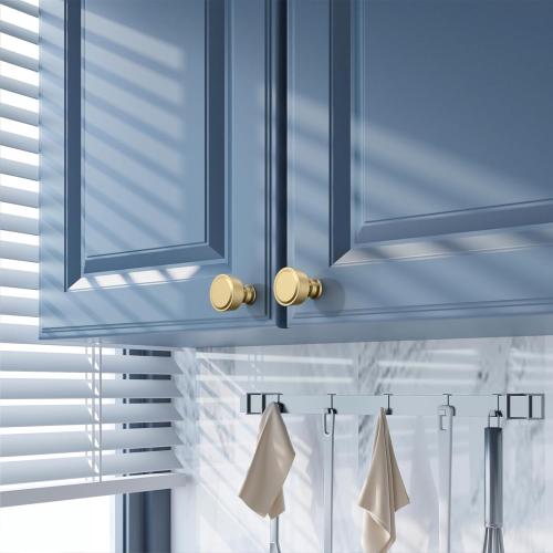 Amerdeco 10 Pack Brushed Gold Cabinet Knobs Single Hole Cabinet Pulls Diameter Round Drawer Knobs and Pulls for Bathroom Cabinets ZH0075