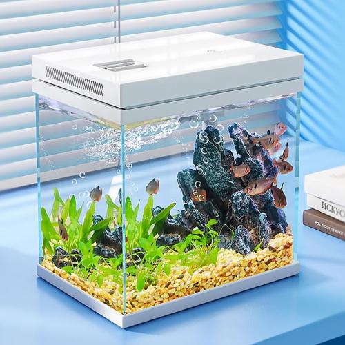 Fish Tank, 4 Gallon Nano-Aquarium, Upgrade Filter System and LED Light, for Freshwater & Marine, Filter Balls Included (4 Gal)