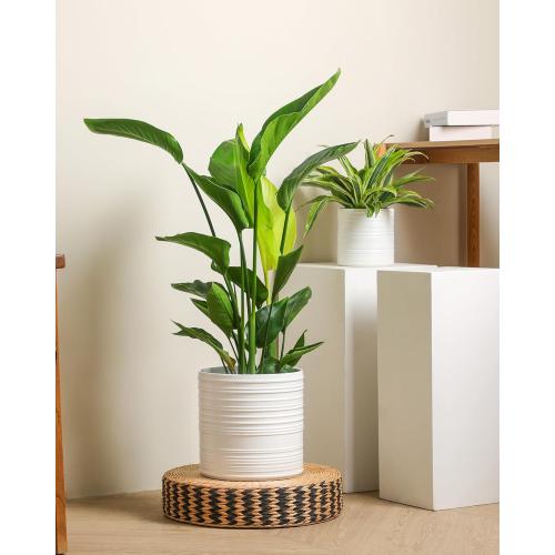 Fayoula Ceramic Planter, 10 8 6 Inch Plant Pots, Modern Striped Indoor/Outdoor Flower Pots for Succulents, Herbs, Home Office & Patio - Includes Mesh Pads & Saucer, Set of 3