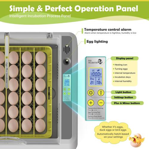 Egg Incubator for Hatching Chicks, 36 Eggs Automatic Turner with Temperature & Humidity Control, Multifunctional Ultra-Clear Panoramic View with Hatch Days & Egg Candler for Chicken, Duck, Goose, Bird