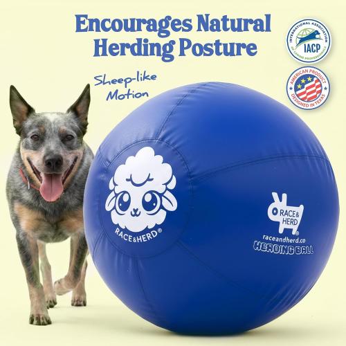 Race&Herd 25 Original XXL Herding Ball for Dogs Large - Herding Toys, Durable Outdoor Big Dog Herding Ball for Australian Shepherd, Corgis, Border Collie Ball & Other Medium to Large Breeds (Blue)