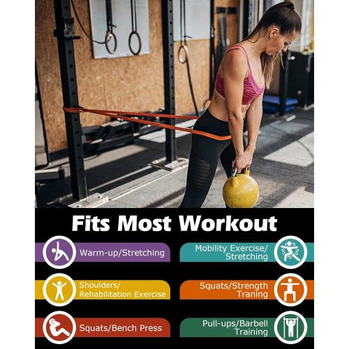 Zacro Resistance Bands, 6 Resistance Levels Pull Up Assistance Bands, Exercise Bands for Men&Women, Heavy Duty Resistance Band Set with Door Anchor, for Working Out, Muscle Training, Physical Therapy