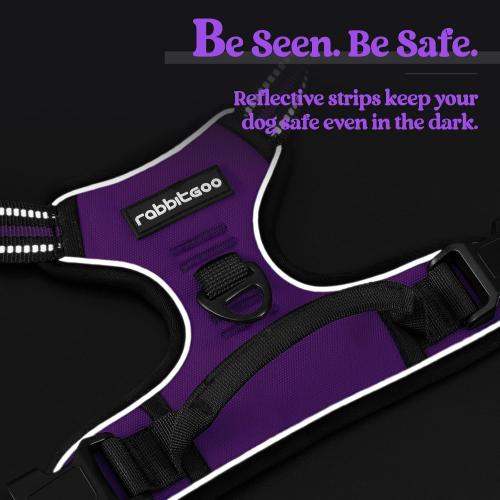 Medium rabbitgoo Dog Harness No Pull with 2 Leash Clips, Adjustable Soft Padded, Reflective Oxford No Choke Pet Vest with Easy Control Handle for Medium Sized Dogs, Purple, M