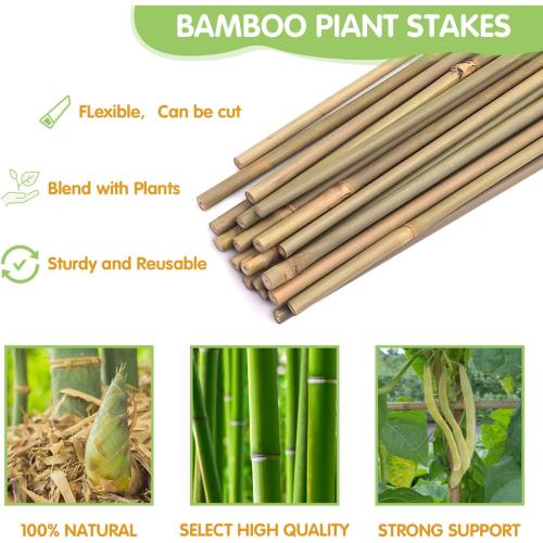 Plant Stakes,4.8FT Longer Sturdy Natural Bamboo Garden Stakes,GAGINANG 20Pcs Bamboo Sticks Trellis Support for Tomato, Vegetables Beans Trees Climbing Plants
