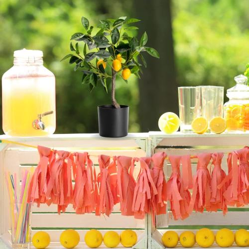 Velener Fake Lemon Tree 19- Bonsai Tree Indoor with Pot Farmhouse Home Decor Living Room Kitchen Shelf Office Desk Bathroom Table Mini Outdoor Tree Faux Plant Porch Lemon Decor Floor Plant Tall