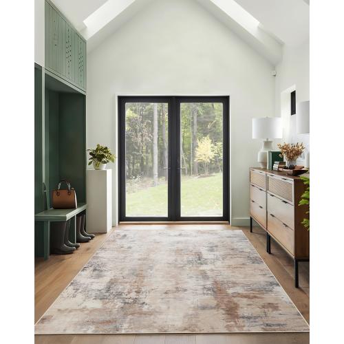 Abstract Area Rug Washable Rug, Area Rugs for Living Room, Bedroom, Dining Room, 9.5 x 7.5