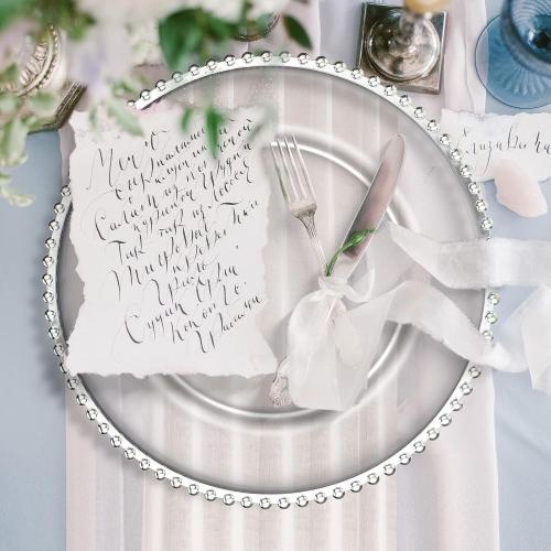 10 PCS Clear Charger Plates with Beaded Rim 13 Inch Plastic Round Charger Plates Bulk for Dinner Home Kitchen Wedding Party Tabletop(Silver)