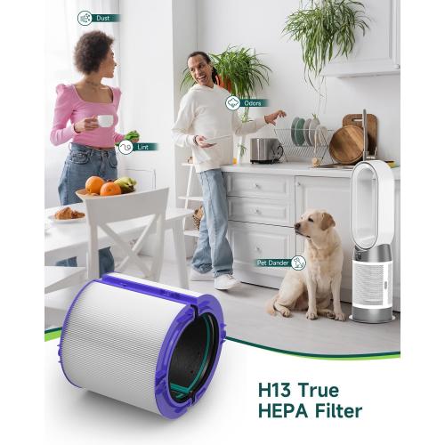 Future Way TP04 Filter Replacement Compatible with Dyson TP04 / HP04 / DP04 Air Purifier, 360 Combi Glass HEPA Carbon Filter