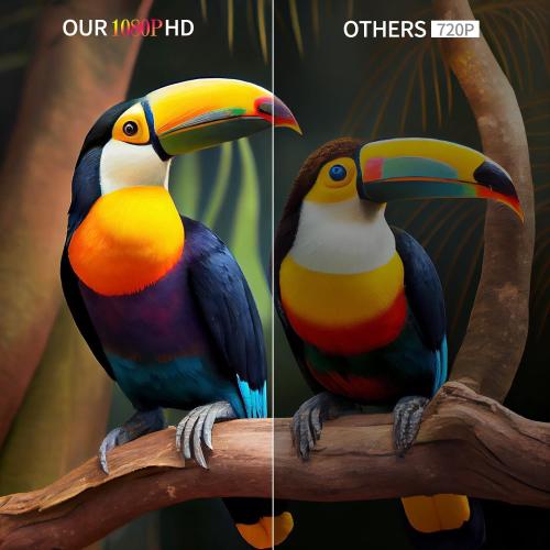 BLACK 20inch Smart TV,Full HD 1080p LED Flat Screen with ATSC TV,with Built-in HDMI USB Suitable for Kitchen Kid's Room Basement or RV Camper