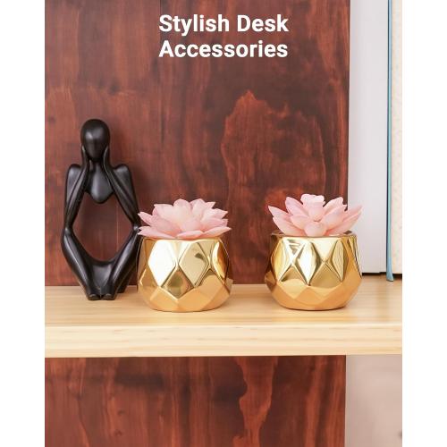 VIVERIE Mini Succulents Plants Artificial in Pots-Pink with Golden Ceramic, Christmas Small Fake Succulents Plants for Home Decor Indoor for Women, Set of 2, Gifts for Mom