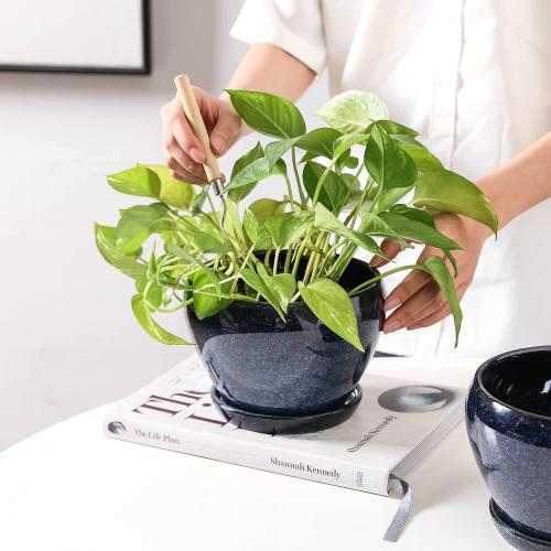 vicrays Ceramic Plant Pots Indoor - 6.5 Inch Planter Pot with Drainage Hole and Saucer for Succulent Orchid Flower Herbs Cactus - Ideal for Gardening Home Desktop Office Decor - Blue