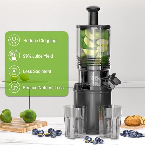 Cold Press Juicer – 6.5 Extra Large Feed Chute Fit Hands-Free Electric Masticating Juicer Machine, 350W Slow Masticating Juicer Machine for Whole Fruit and Vegetables – Easy Cleanup & Assembly.