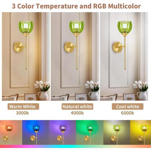 Battery Operated Wall Sconce Set of 2, Rechargeable Wireless Wall Sconce Lights with Glass Lampshade, 5000mAh Dimmable Bulbs with Remote,15 Colors Wireless Wall Lamps for Bedroom Living Room