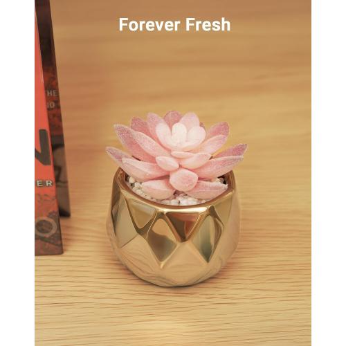 VIVERIE Mini Succulents Plants Artificial in Pots-Pink Succulents with Golden Ceramic, Small Fake Succulents for Home Decor Indoor for Women, White Ceramic Faux Succulents, Gifts for Mom-1 Pack