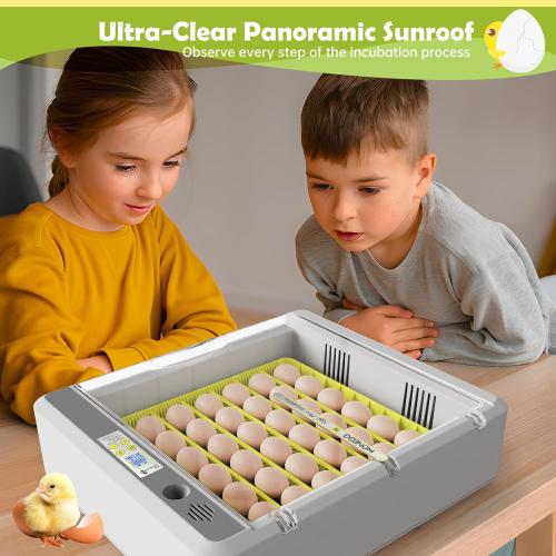 Egg Incubator for Hatching Chicks, 36 Eggs Automatic Turner with Temperature & Humidity Control, Multifunctional Ultra-Clear Panoramic View with Hatch Days & Egg Candler for Chicken, Duck, Goose, Bird
