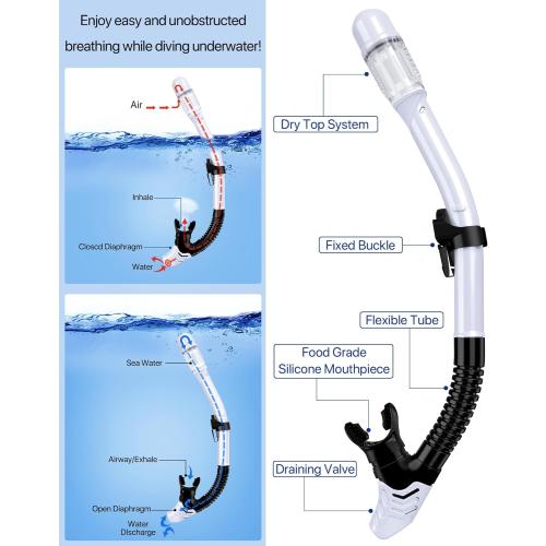 Snorkeling Gear for Adults Men Women,4 in 1 Snorkel Set with Panoramic View Diving Mask Anti-Fog Anti-Leak,Dry Top Snorkel,Fins and Travel Bag for Swimming,Snorkeling and Travel Diving