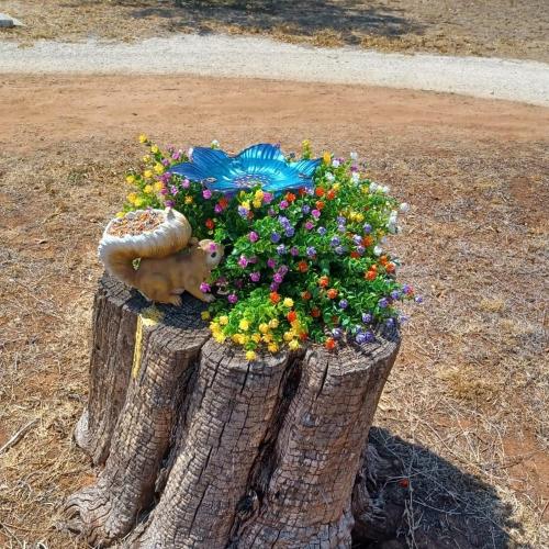 Ivydale Artificial Fall Flowers Plants Fake Mums for Autumn Outdoors Decoration, 12 Bundles Faux Plastic UV Resistant Greenery Bushes Shrubs for Home Porch Patio Garden (Yellow)