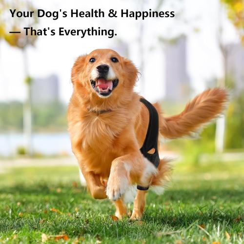 Dog Knee Brace for Torn Acl Hind Leg - Adjustable Stabilizing Support for Ccl Injury, Luxating Patella, Hind Leg Pain & Arthritis - Rear Leg Limp Support