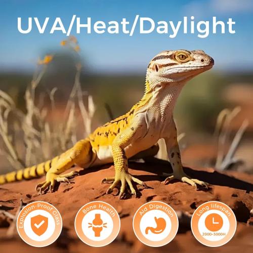 Reptile Infrared Heat Lamp Bulb 75W, 2-in-1 Day & Night Combo, Infrared Heat Lamp & UVA Sunlight Heating Lamp for Reptile Terrariums