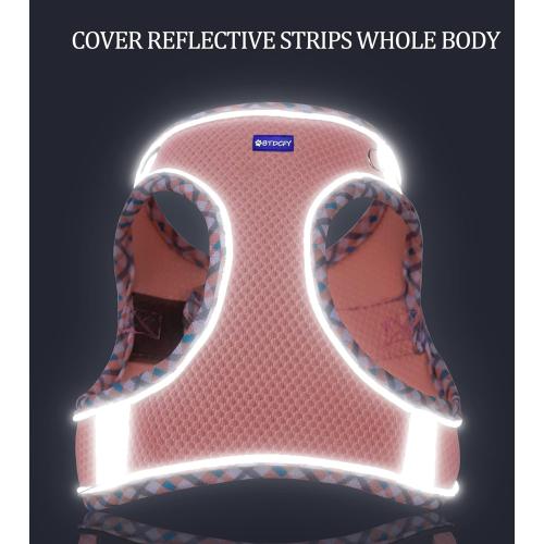 Step in Mesh Dog Harness and Leash Set Breathable Air Mesh Harness | Reflective Escape Proof Dog Harness Vest No Choke Lightweight Mesh Dog Harness