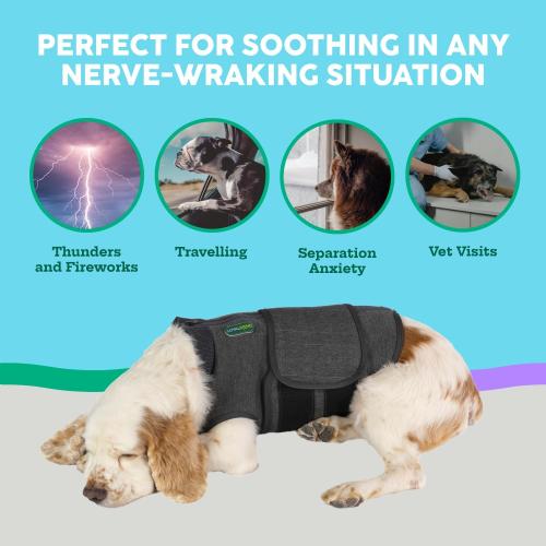 Calming Vest: Anxiety and Stress Relief for Dogs - Dog Anxiety Relief Calming Vest (Medium), Gray