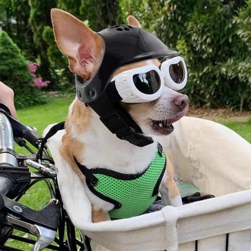 Pet Dog Helmet and Dog Goggles Set Puppy Motorcycle Helmet Sunglasses with Adjustable Belt Cat Hard Hat for Small Pet Riding (S, White)