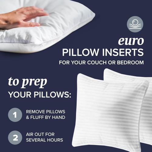 Beckham Hotel Collection Queen Size Bed Pillows & Euro Size Throw Pillows - Sets of 2 (20in x 28in)