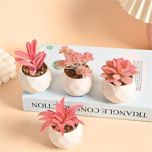 Succulent Pink Bonsai Micro Landscape Potted Plant Decoration 4-Piece Set (with Diamond Pot)