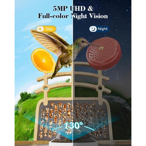 Bird Feeder with Camera Solar Powered, Bird Feeders for Outdoors with DIY Add-ons - Honey Jar & Fruit Fork & Squirrel Proof Net & 32GB SD Card, AI Identify Birds, Ideal Present for Birdlover