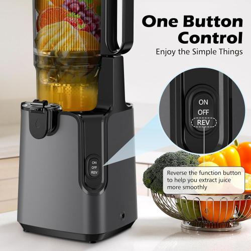 Juicer Machines with 5.8 Large Chute, 2-in-1 Cold Press Juicer for Whole Vegetables Fruits 400W, Masticating juicer Easy to Clean Juice Extractor Machine for Making Nut Mike, Juice, Premium Gray
