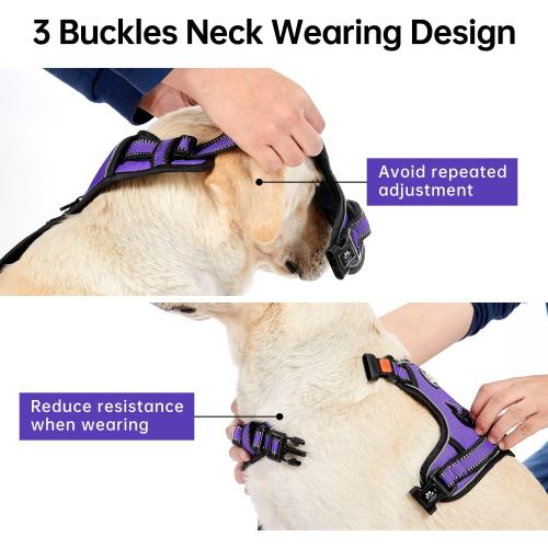IVY&LANE No Pull Dog Harness for Medium Dogs, Dog Vest Harness with Leash, Safety Belt and Storage Strap, Fully Adjustable Harness, 360° Reflective Strip, Soft Handle (Purple, M)