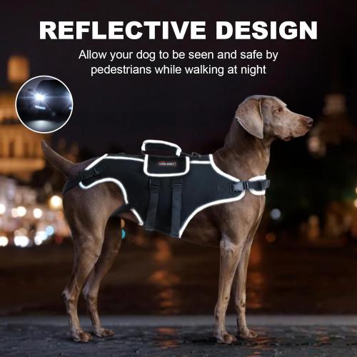 Size XL Color Black Full Body Dog Lift Harness with Handle & Adjustable Lifting Straps - Dog Carrier Sling for Joint Injuries, Arthritis, Paralysis - Up Stairs (XL)