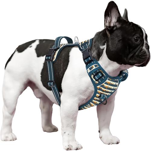 Size XL Timos Dog Harness, 3 Snap Buckles No-Pull Soft Padded Dog Vest with 2 Metal Leash Clips, Adjustable Reflective No Choke Pet Harness with Easy Control Handle for Small Dogs, Sunset Valley,