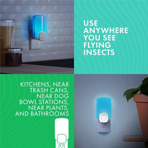 STEM Light Trap: Indoor Fruit Fly Trap, Effective Insect Control for Home, Attracts and Traps Flying Insects, Emits Soft Blue Light, Starter Kit with 1 Plug-In Device and 1 Cartridge