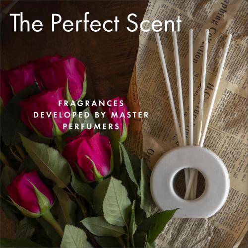 ScentAir Infused Liquidless Reeds | Includes Flameless Reeds and 1 Decorative Vase, White | Essential Oil Aroma Diffuser Sticks | Fresh Spa Scents | Gifting Fragrance | Fresh Linen