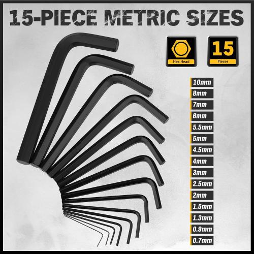 ELEAD Hex Key Allen Wrench Set: 41-Piece Hex and Torx Key Set with Torque Handle, Standard SAE(0.028-3/8) & Metric(0.7mm-10mm) & Torx(T9-T50) in Storage Case, Heat Treated Chrome Vanadium Steel