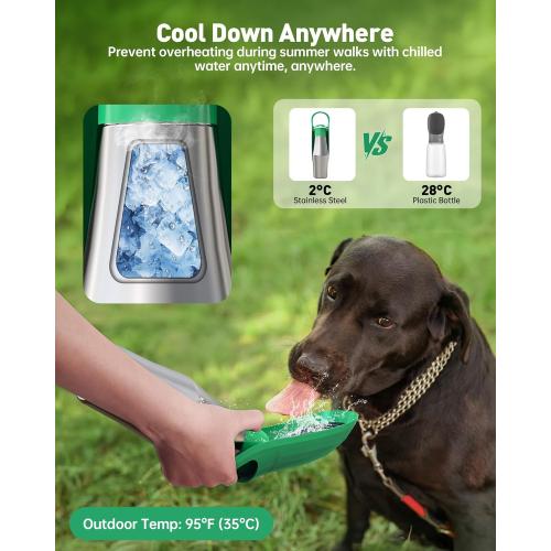 Stainless Steel Dog Water Bottle - 27 oz