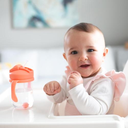 Dr. Brown's Baby's First Straw Cup Straw Replacement Kit with One Straw and One Cleaning Brush, BPA Free