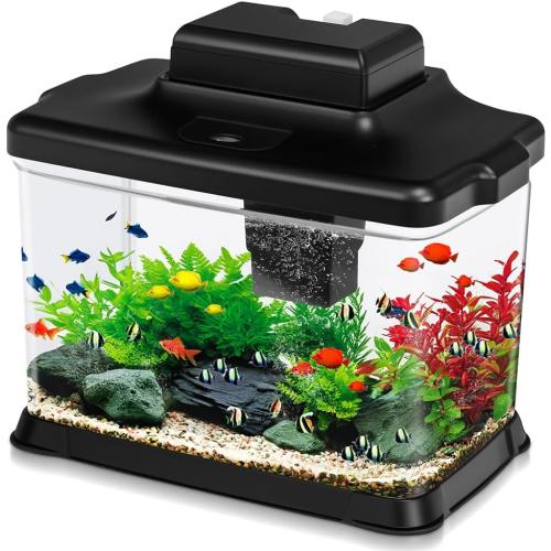 DaToo Small Fish Tank Ultra-Clear 1.6 Gallon Aquarium Starter Kits with LED Lighting and Filter System Beginner-Friendly Mini Betta Aquarium for Small Fish Shrimp Desktop Room Decoration