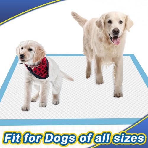 Puppy Pads Extra Large 30x36, 40 Count Thicken XLarge Puppy Pee Pads for Dogs Super Absorbent, Leak-Proof Disposable Pet Training Pad, Potty Piddle Mats for Puppies, Cats, Doggies
