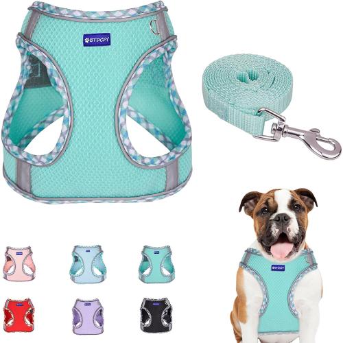 Step in Mesh Dog Harness and Leash Set Breathable Air Mesh Harness | Reflective Escape Proof Dog Harness Vest No Choke Lightweight Mesh Dog Harness