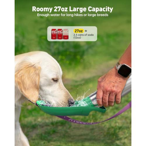 Stainless Steel Dog Water Bottle - 27 oz