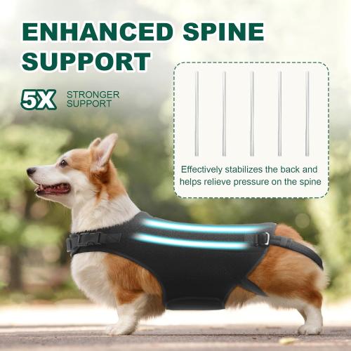 Dog Back Brace for IVDD, Arthritis, Slipped and Herniated Discs – Provides Back Support and Pain Relief, Stabilizes Spine for Surgical Recovery and Mobility, Dogs Back Disease Prevention(Black,L)