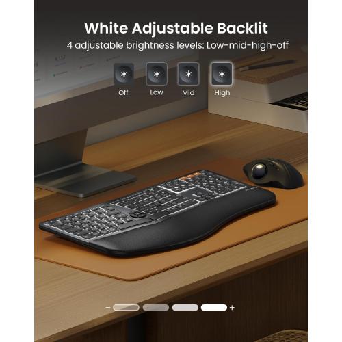ProtoArc Backlit Bluetooth Ergonomic Keyboard, EK01 Plus Full Size Wireless Split Keyboard with Dual Bluetooth and USB, Cushioned Wrist Rest, Rechargeable, Compatible with Windows/Mac/Android, Black